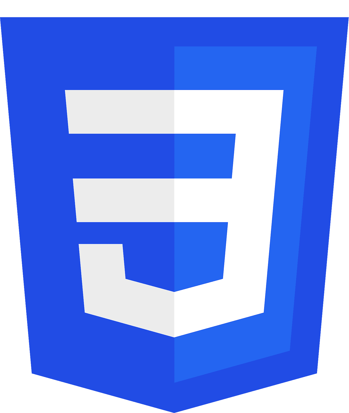 CSS Logo
